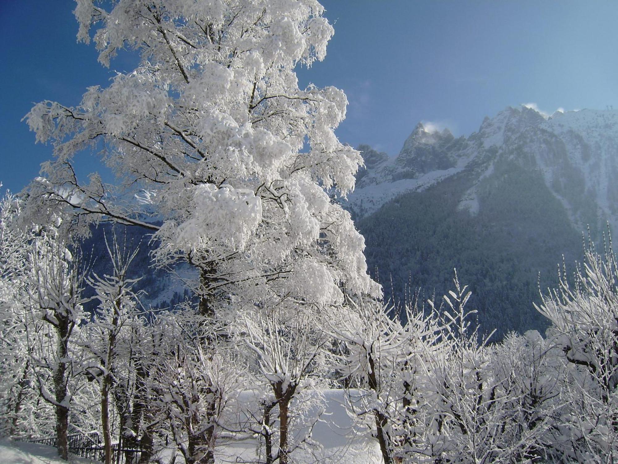 Chalet Altitude 1057 Chamonix Exteriér fotografie